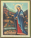 Образ: "Пюхтицкая" икона Пресвятой Богородицы