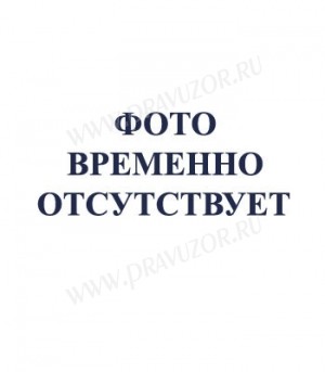 Образ: "Казанская" икона Пресвятой Богородицы