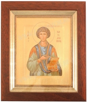 Икона: Св. Великомученик и целитель Пантелеимон - 8