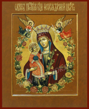 Икона: Образ Пресв. Богородицы 'Неувядаемый Цвет' - Р