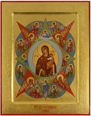 Икона: Пресв. Богородица Неопалимая Купина - PS1