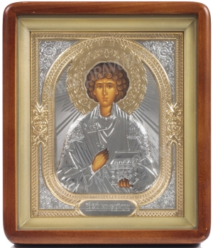 Икона: Св. Вмч. и целитель Пантелеимон - 38