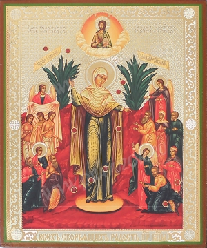 Икона: образ Пресвятой Богородицы  "Всех скорбящих Радость" (с грошиками)