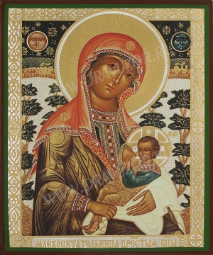 Икона: образ Пресвятой Богородицы "Млекопитательница"