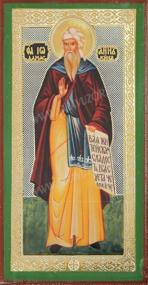 Икона: Преподобный Иоанн Дамаскин